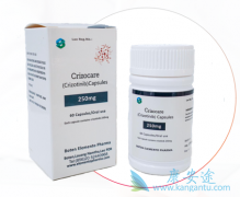 达沙替尼联合克唑替尼Crizotinib联合治疗