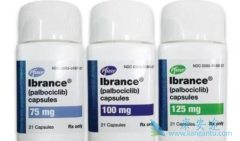 Palbociclib帕博西尼早期剂量强度降低的影