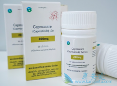 卡马替尼(INC280)在MET失调的肝细胞癌中的