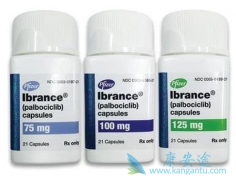 PalbociclibϷά˾Ⱥ