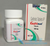 (Gefitinib)¸ҩԳʼ