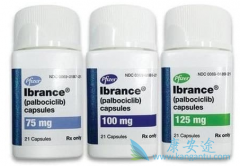 palbociclibһ߻ʧܺת·Ƥߵ