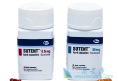 sutentθеĻģ͵ļ廯