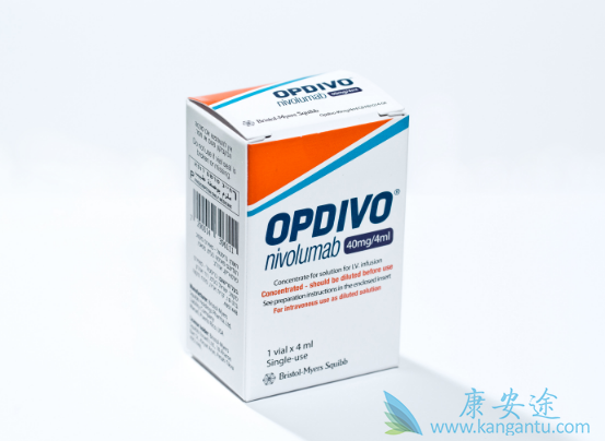 �о��������ؿ��ܻ�Ӱ��PD-1���Ƽ�������Ч��