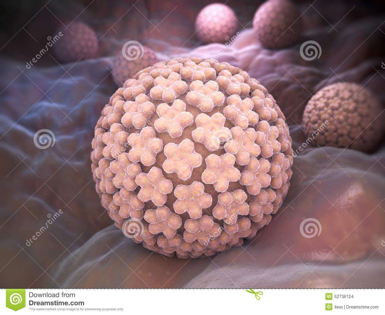 HPV