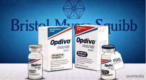 PD-1Ƽ Keytruda Opdivo Ʒ