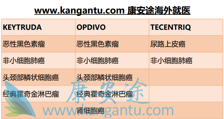 PD-1Ƽ Keytruda Opdivo Ʒ