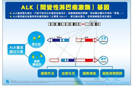 FDA׼brigatinibУΰֽһ