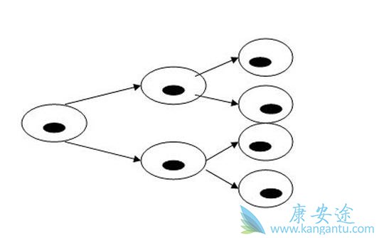 2017ֳҩôҸأЩشͻֵùע