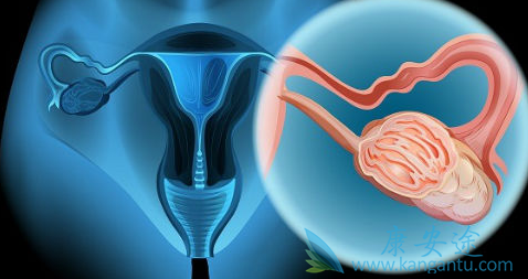 HPV在宫颈的感染周期