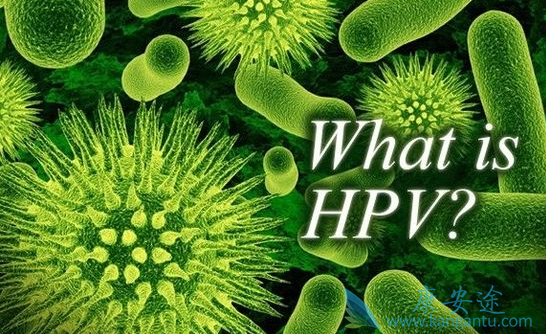 HPV治愈过程及花费