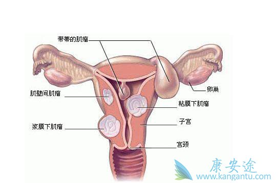 女性必看!HPV与宫颈癌的小常识