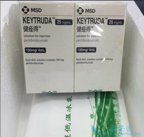 pd-1ƼKeytruda