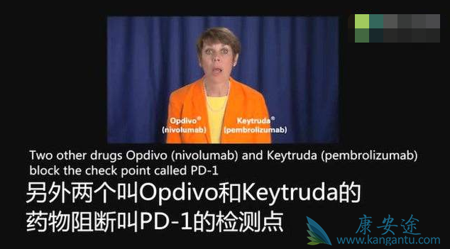 pd1抗体的禁忌症