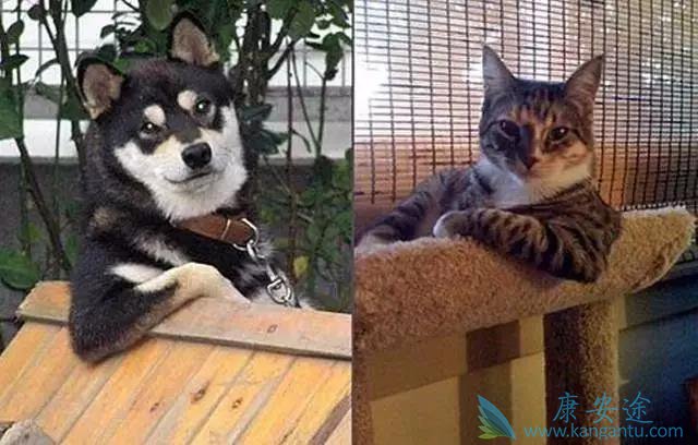 长期没有X生活,男生女生会发生什么?