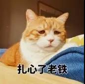 长期没有X生活,男生女生会发生什么?