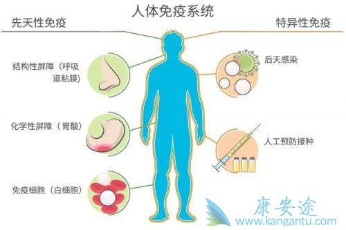 癌症治疗 免疫疗法