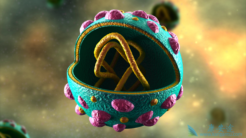 <a href='http://hcv.kangantu.org/' style='color: rgb(0, 176, 240);'></a>