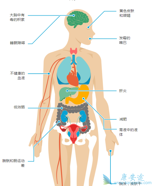 <a href='http://hcv.kangantu.org/' style='color: rgb(0, 176, 240);'></a>ָ