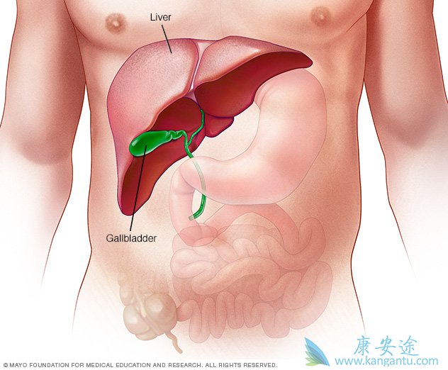 <a href='http://hcv.kangantu.org/' style='color: rgb(0, 176, 240);'>丙肝</a>治疗指南